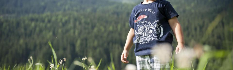 Little Boy on a Meadow