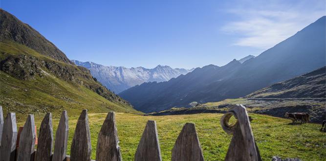 hotelschaurhof-sommer-36