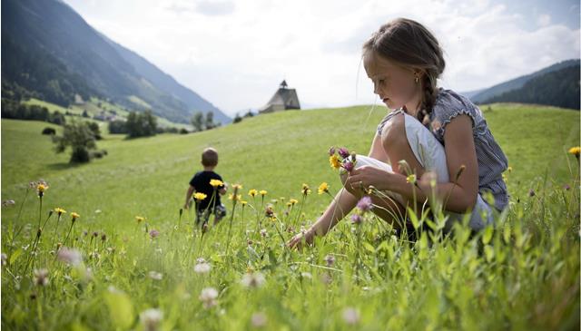 Bambina raccoglie fiori selvaggi