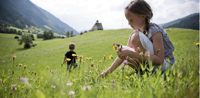 Mädchen pflückt Wiesenblumen