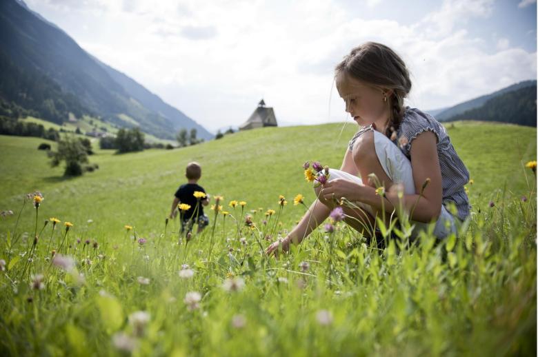 Bambina raccoglie fiori selvaggi