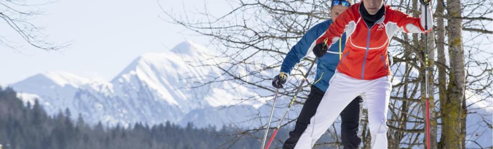 Two people while cross-country skiing